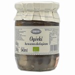 Ogórki kwaszone - ekologiczne 450g – DROS