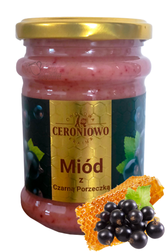 Ceroniowo_Dmosiny_miód_z_czarnej_porzeczki_Kubek_smakow.png